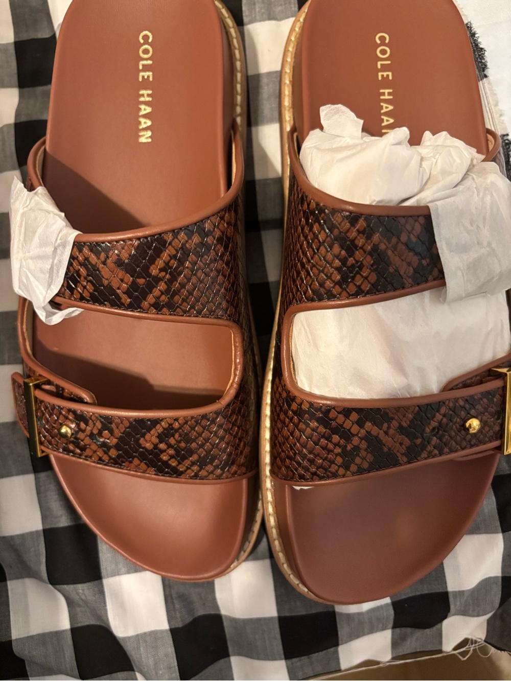 Cole Haan Brown Snake-Print Buckle Slide Sandals